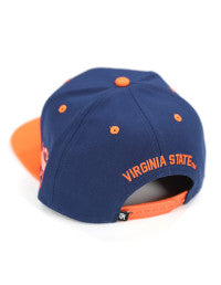 Virginia State Snapback Hat