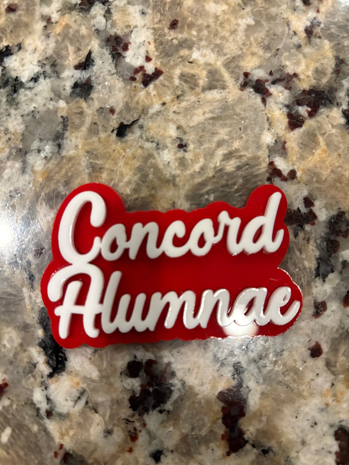 Chapter Pin-Concord Alumnae