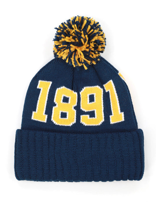 Hat-NC A & T Beanie