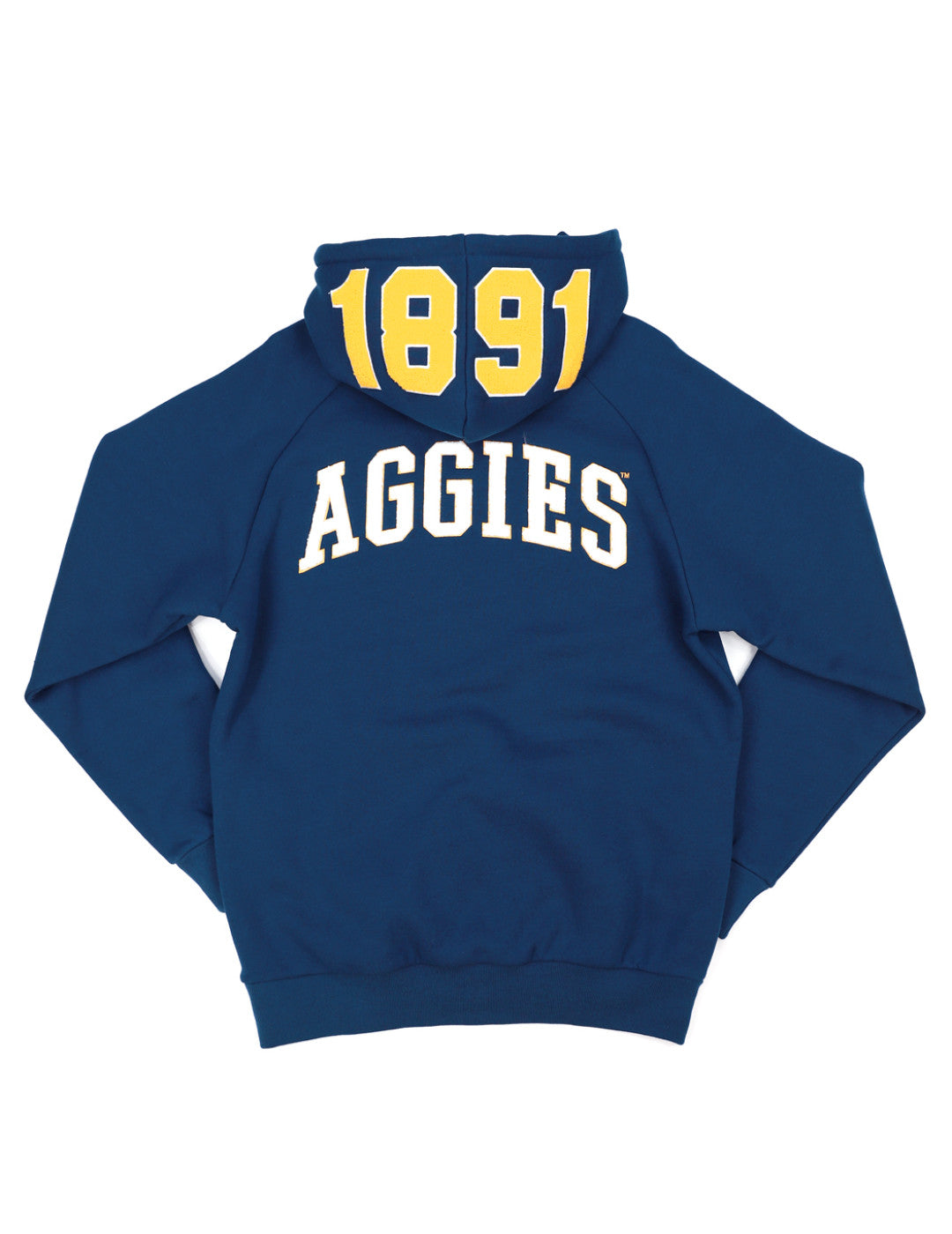 NC A & T Hoodie-Unisex