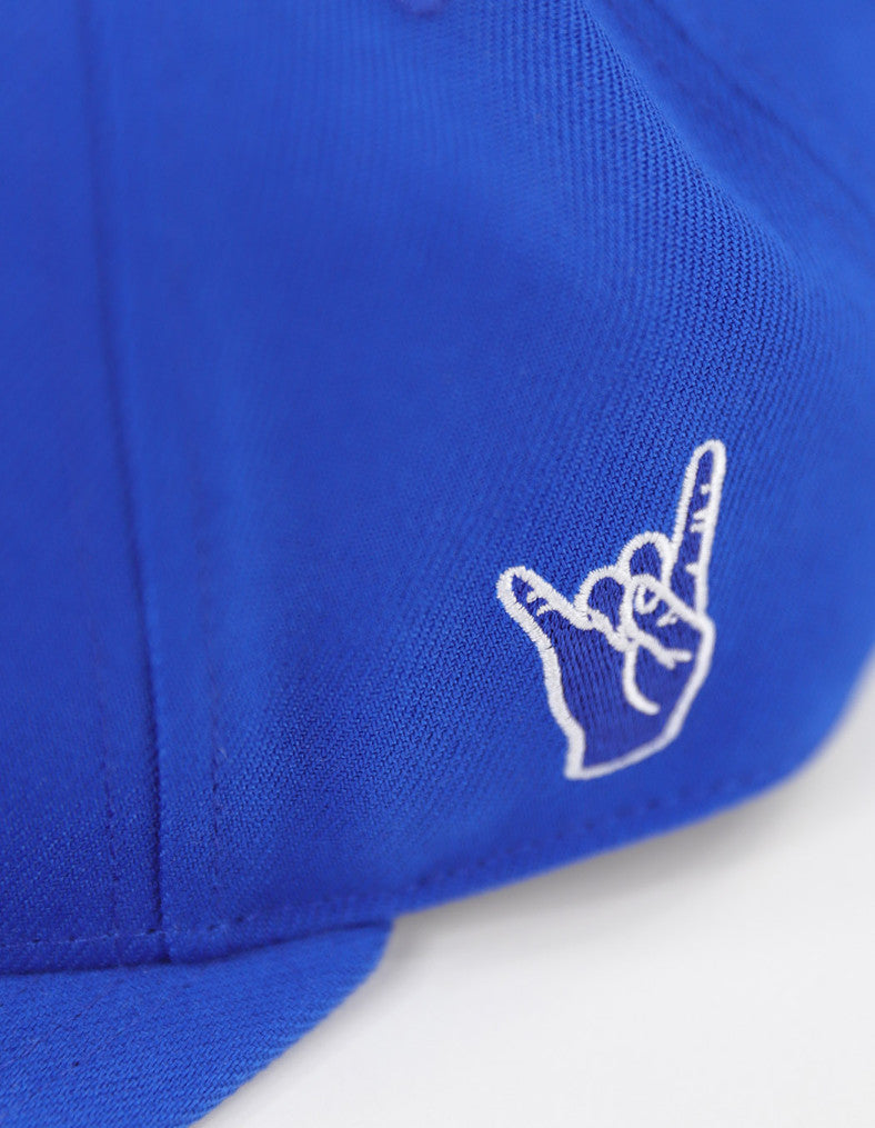 Hat-PBS Baseball Cap